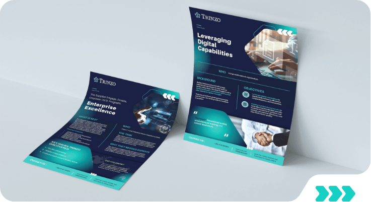 https://trinzo.proactivedigital.ie/wp-content/uploads/2025/11/trinzo-case-studies-home.png
